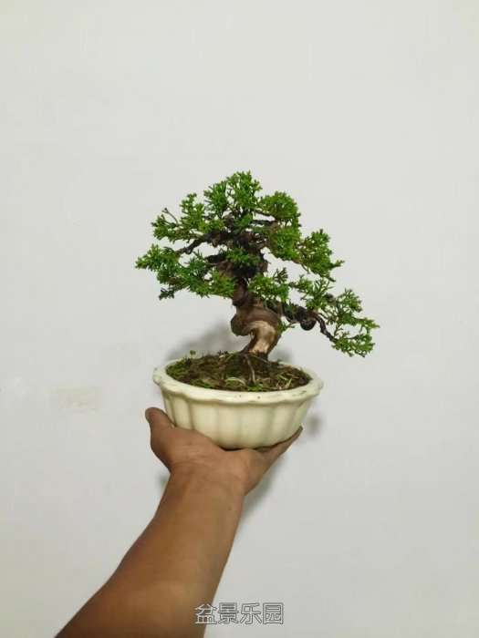 psb (25).jpg