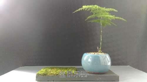 IMAG6347.jpg