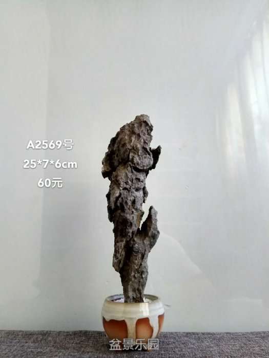 a2569.jpg