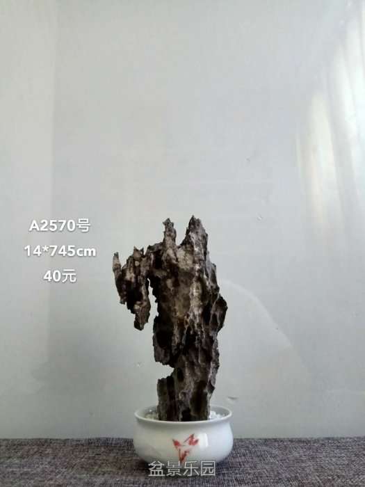 a2570.jpg