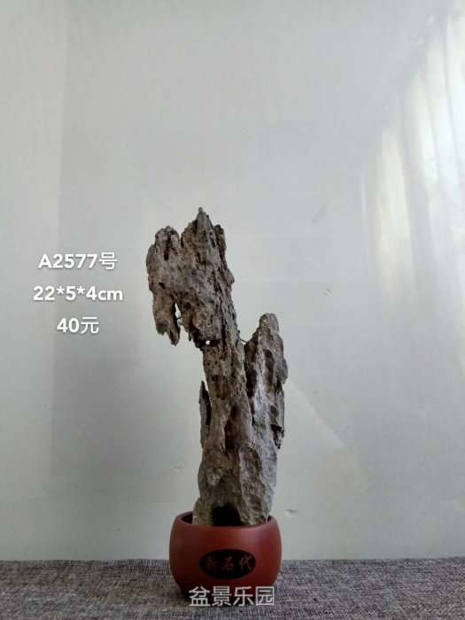 a2577.jpg