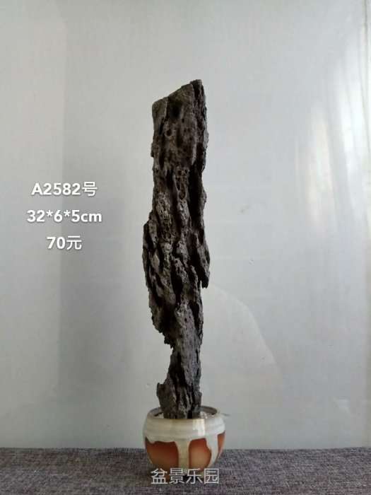 a2582.jpg