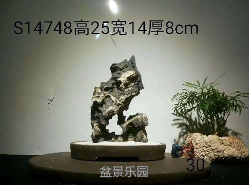1549068651.jpeg