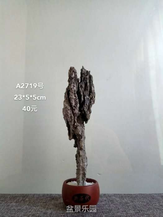 a2719.jpg