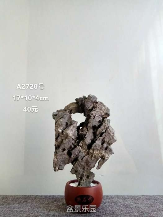 a2720.jpg