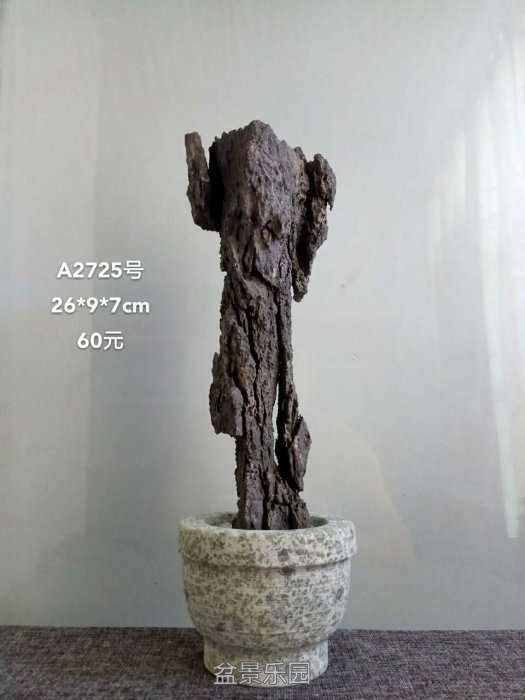 a2725.jpg