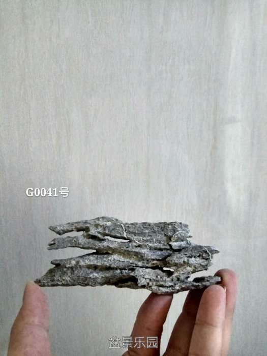 g0041.jpg