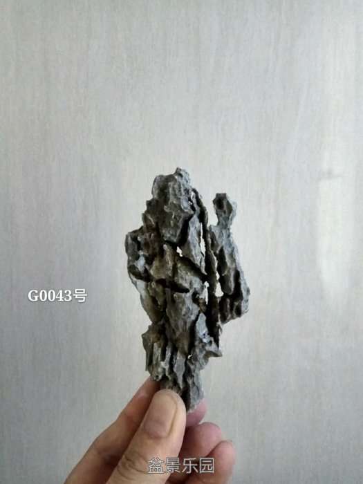 g0043.jpg