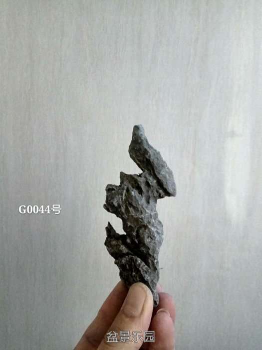 g0044.jpg
