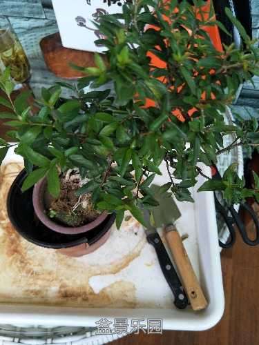 IMG20170905105911.jpg