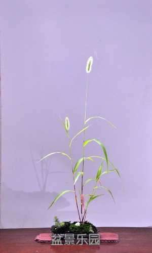 nEO_IMG_DSC_8535.jpg