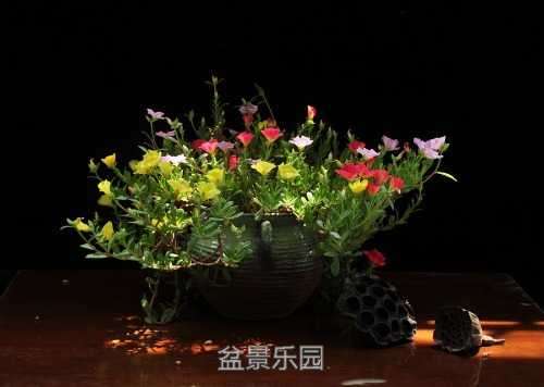 nEO_IMG_DSC_8514.jpg
