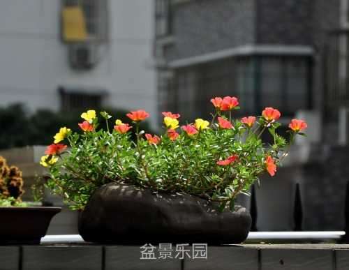 nEO_IMG_DSC_8434.jpg