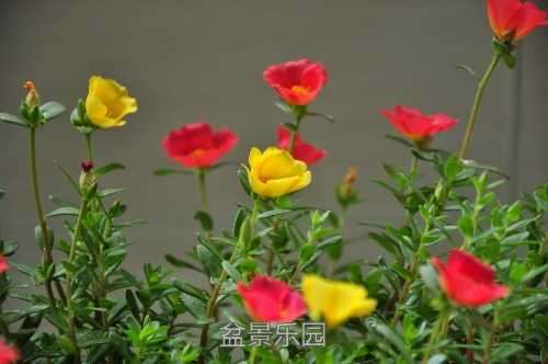 nEO_IMG_DSC_8432.jpg