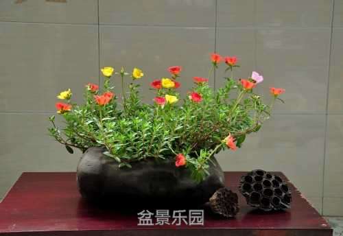 nEO_IMG_DSC_8428.jpg