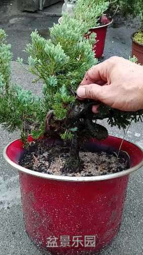 wx_camera_1505727273410.jpg
