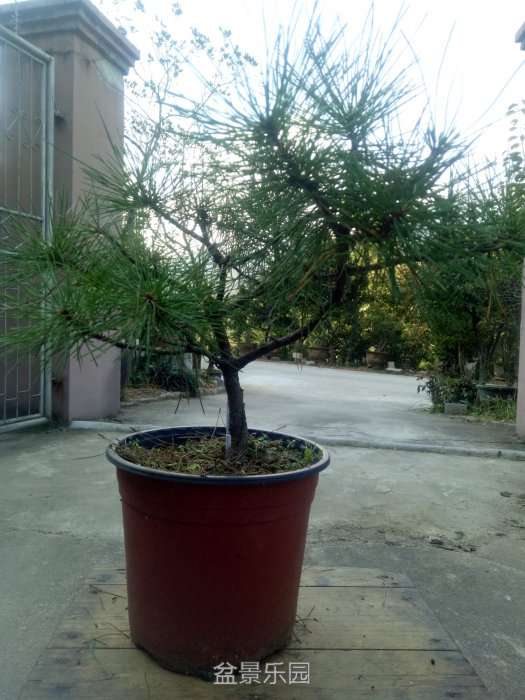IMG20170916084622_.jpg