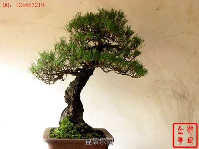 IMG_3770___.jpg