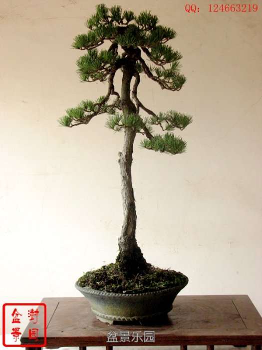 IMG_3780___.jpg