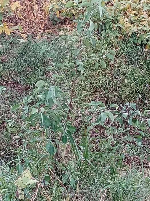 ΢ͼƬ_20170926161042.jpg