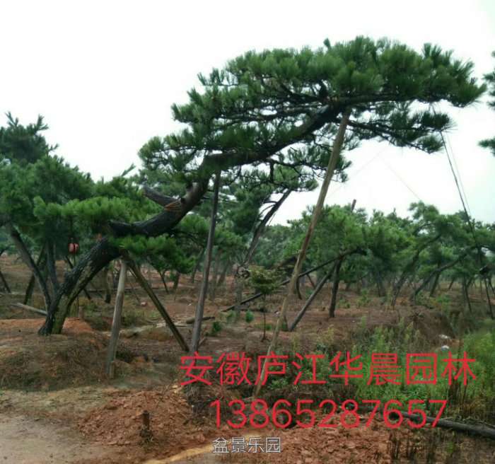 QQ%E5%9B%BE%E7%89%8720170927225803.jpg