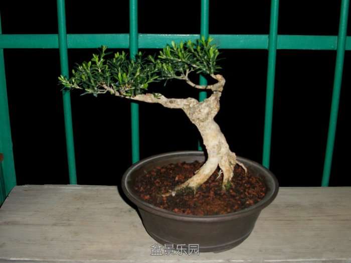 100_1723.jpg