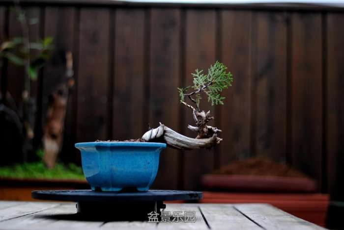 DSC_5435.JPG