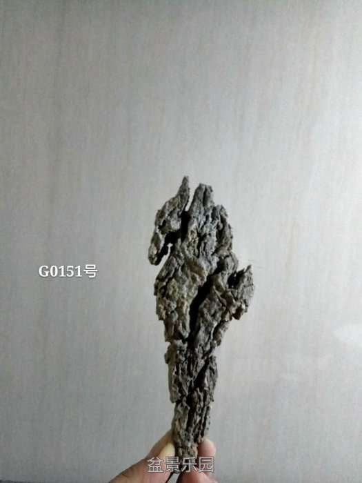 g0151.jpg