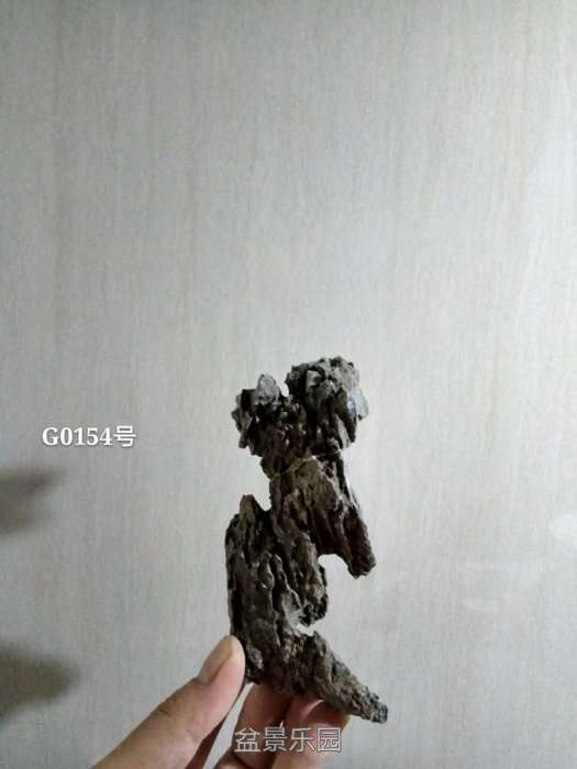 g0154.jpg