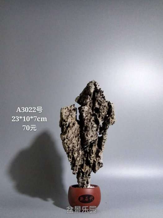 a3022.jpg