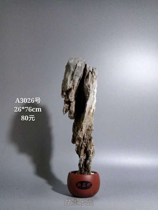 a3026.jpg