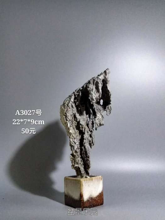 a3027.jpg