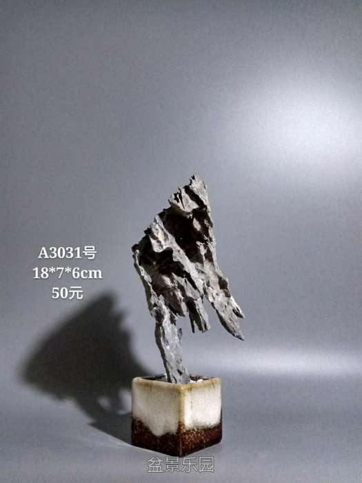 a3031.jpg