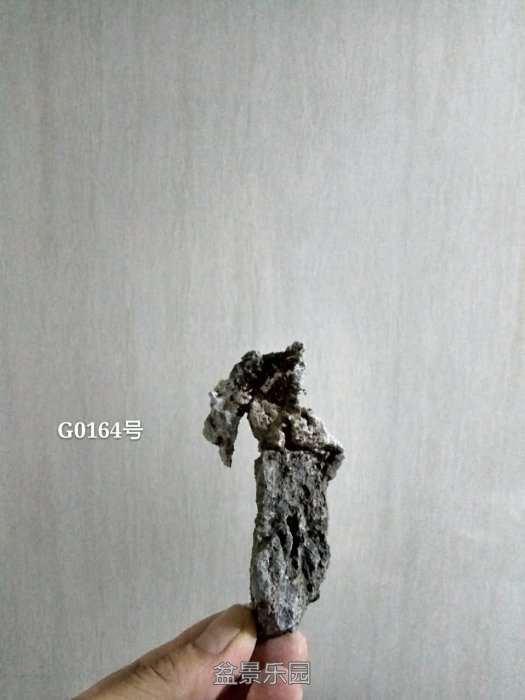 g0164.jpg