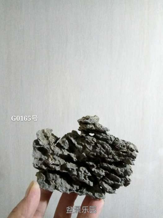 g0165.jpg