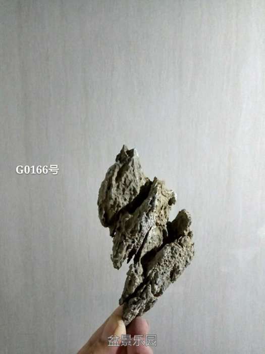 g0166.jpg