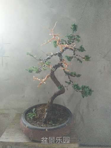 IMG20171012092734.jpg