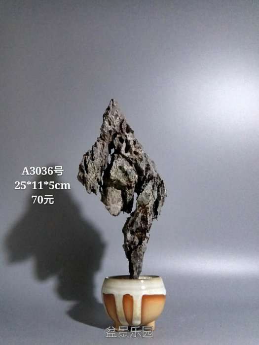 a3036.jpg