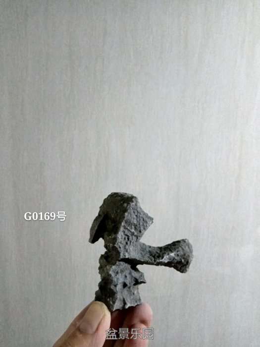 g0169.jpg