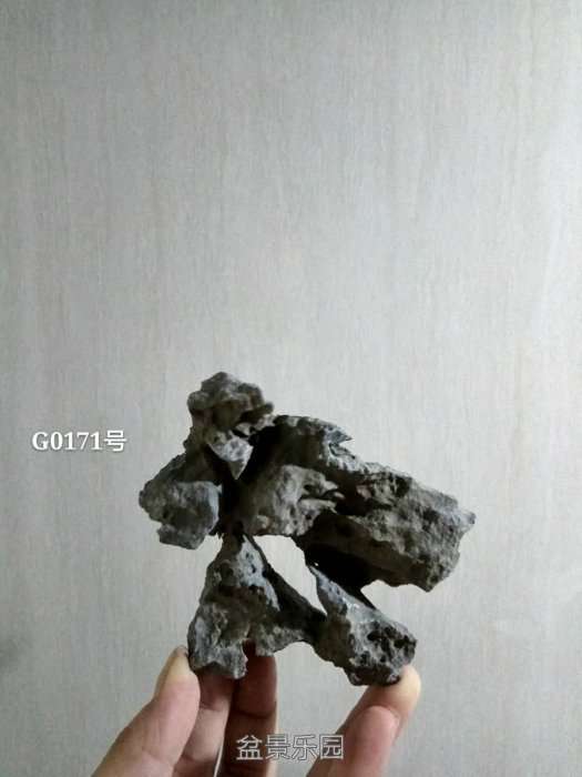 g0171.jpg