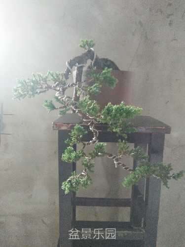 IMG20171012135037.jpg