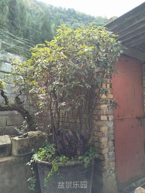 IMG20171009105507.jpg