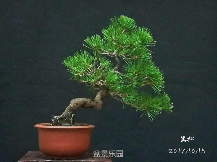 QQͼƬ20171017165857.jpg