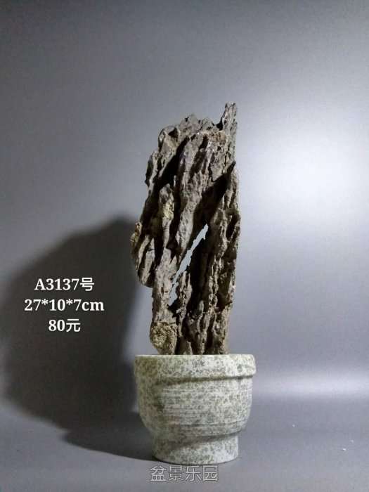 a3137.jpg