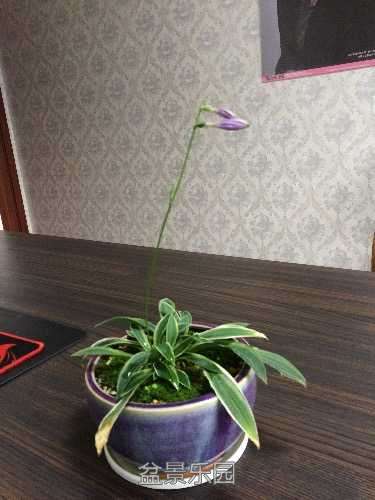 image.jpeg