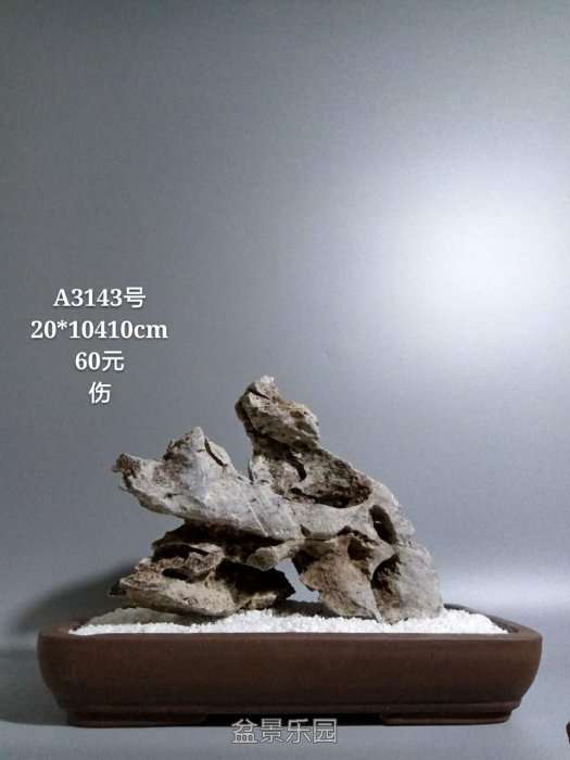 a3143.jpg