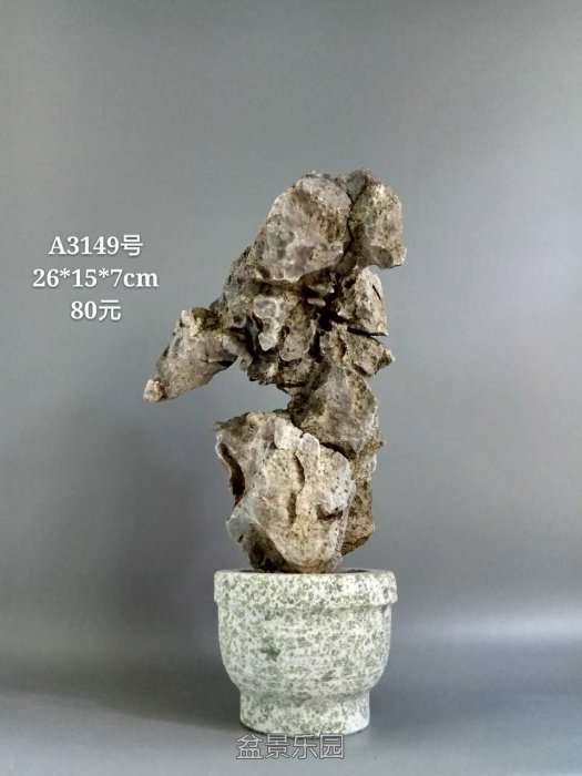 a3149.jpg