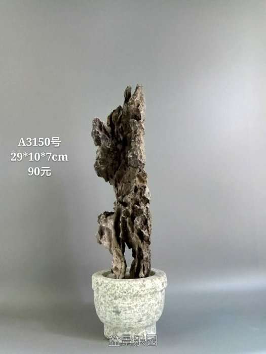 a3150.jpg
