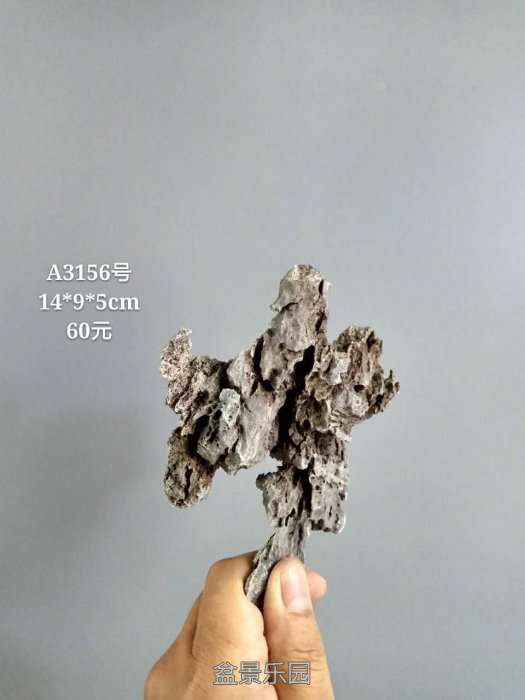 a3156.jpg