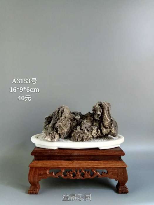 a3153.jpg